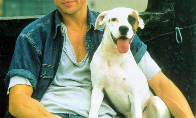Brad Pitt Pets