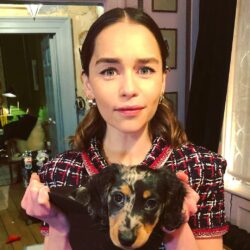 Emilia Clarke Pets