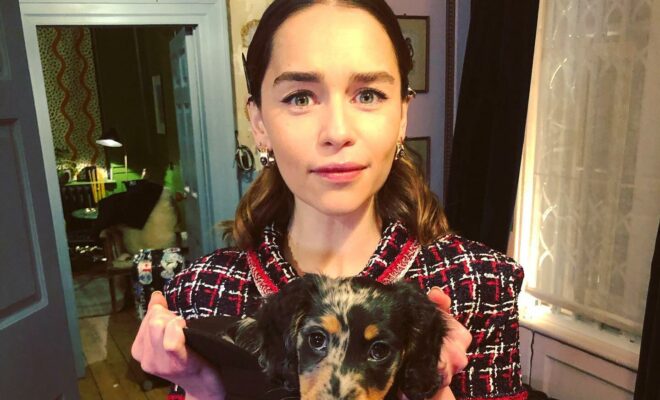 Emilia Clarke Pets