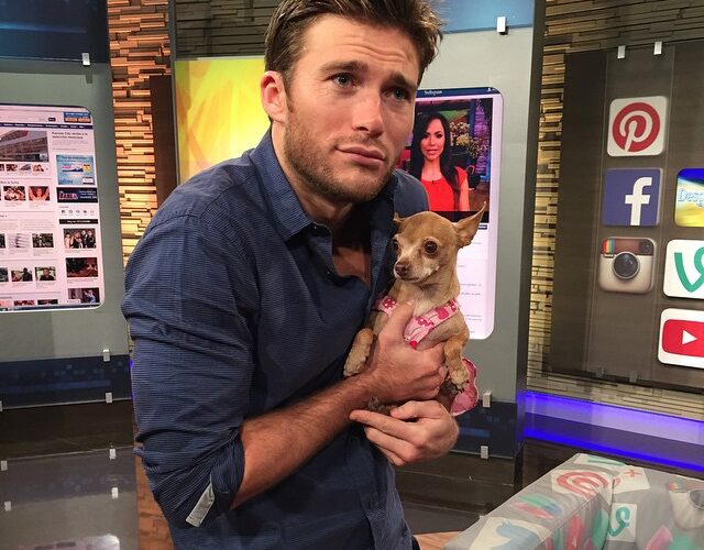 Scott Eastwood The Funny or Die Bachelor for Dogs