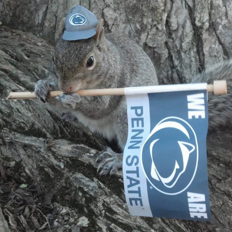 Sneezy the Penn State Squirrel has More Shool Spirit Than You’ll Ever