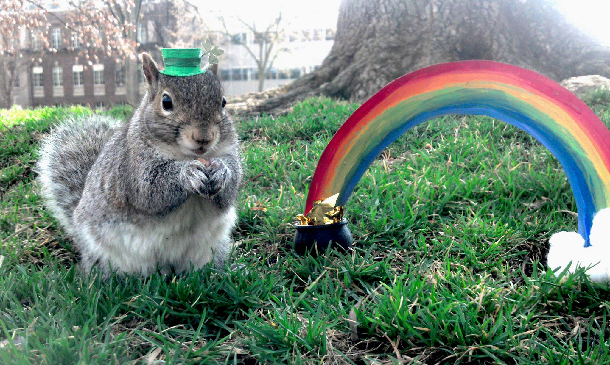 Sneezy The Penn State Squirrel