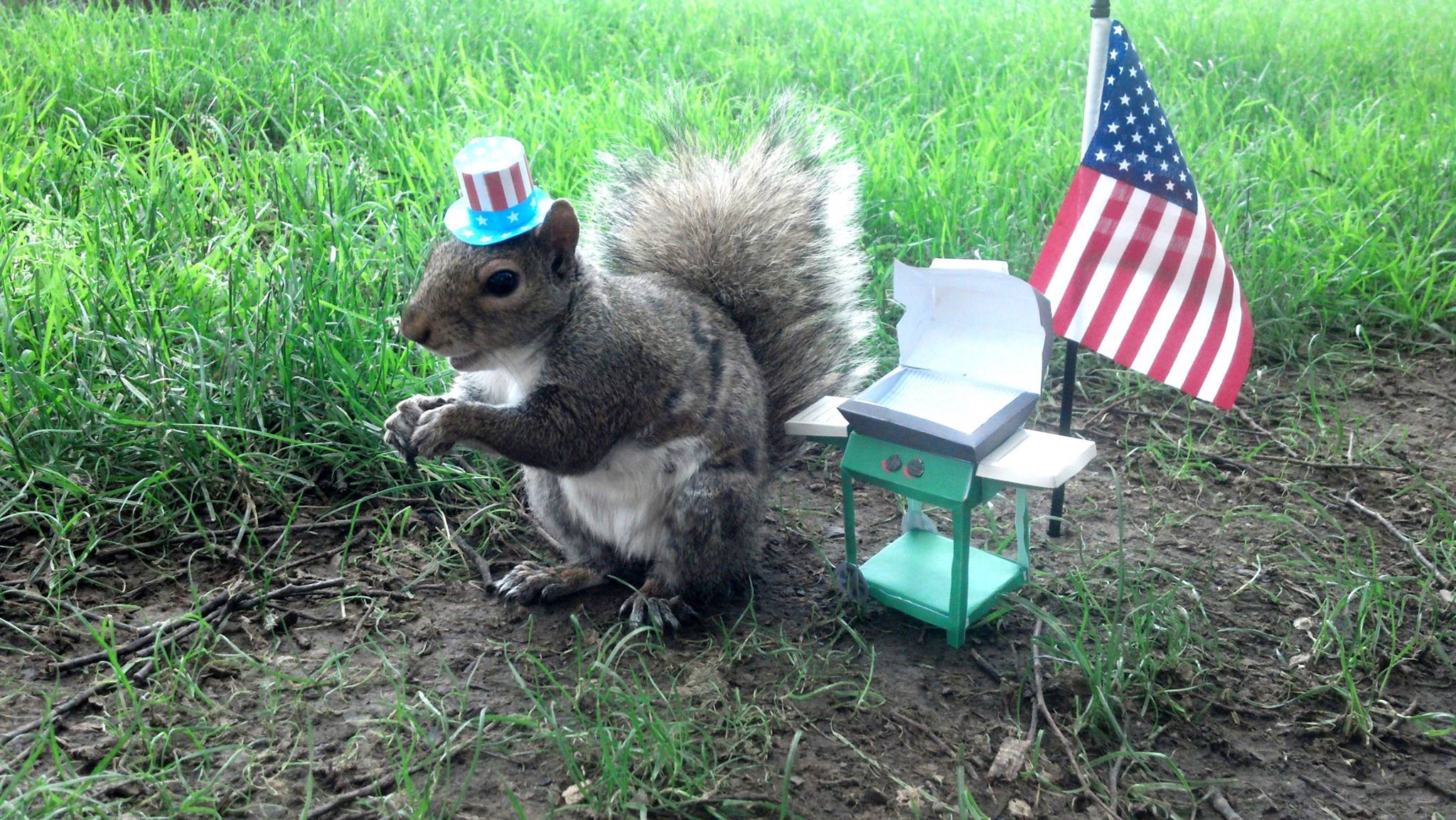 Sneezy The Penn State Squirrel