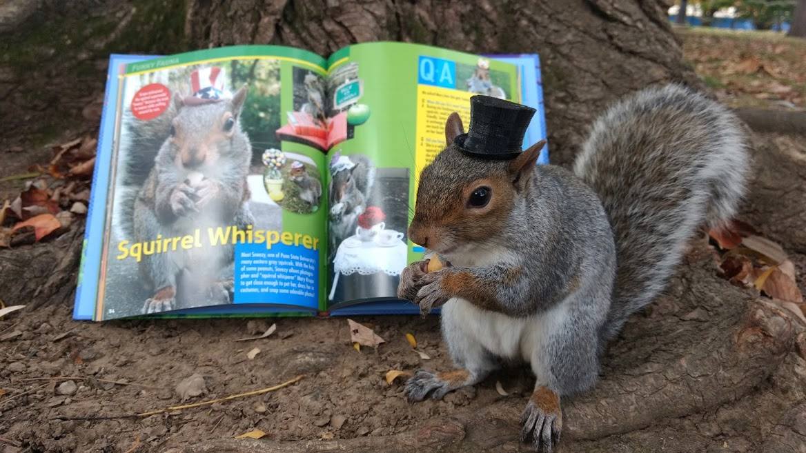 Sneezy The Penn State Squirrel