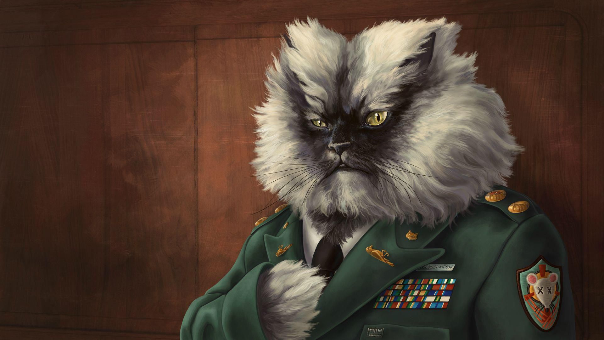 colonel meow