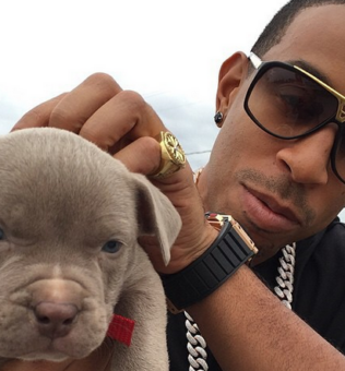 Ludacris Pets
