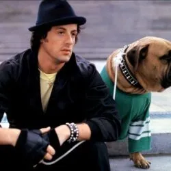 Sylvester Stallone Pets - Celebrity Pets