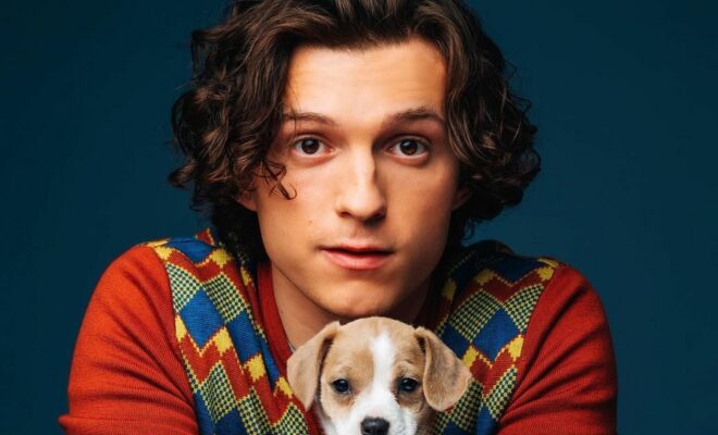 Tom Holland Pets