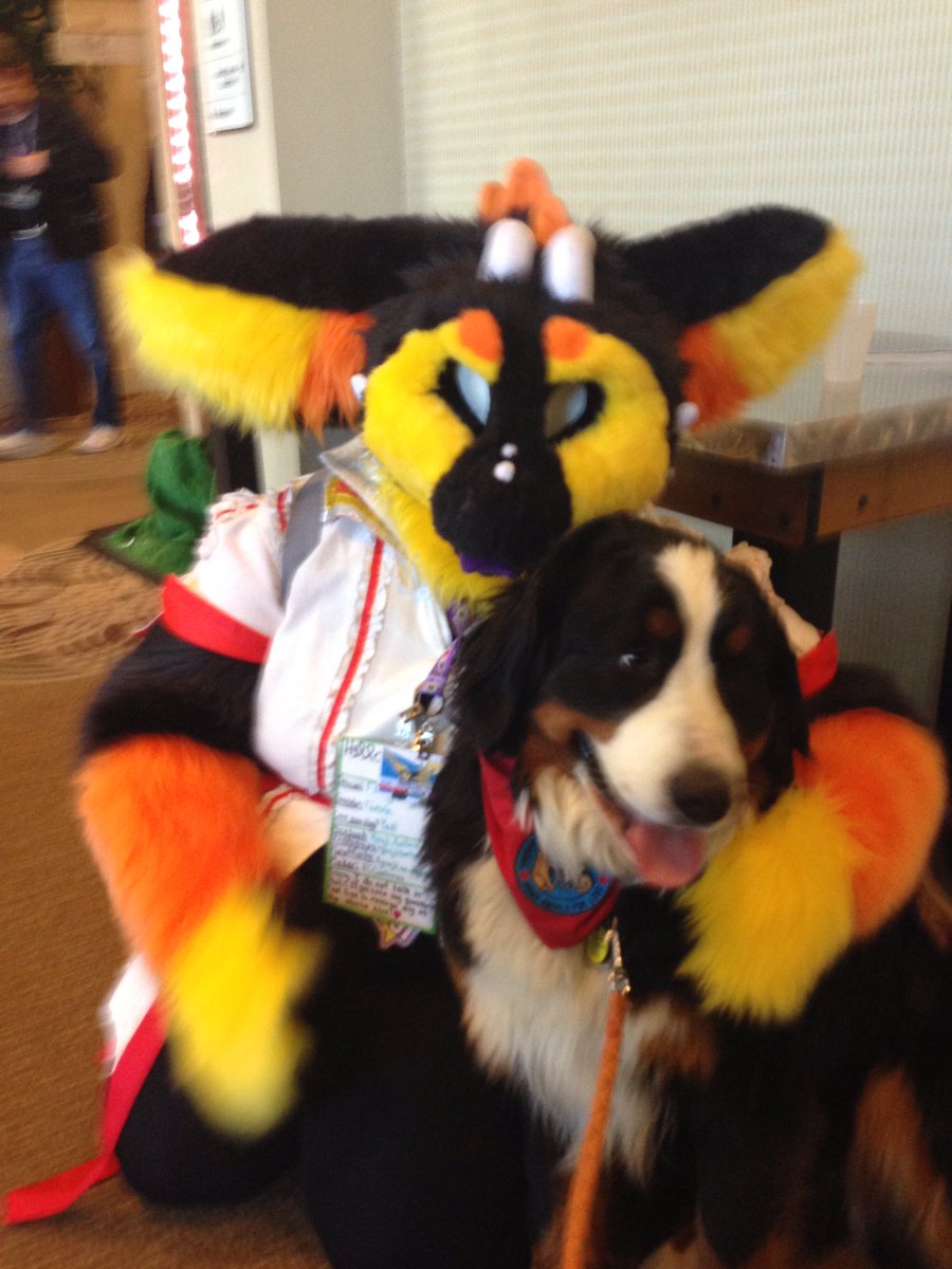Woman brings her dog to a Furry Convention