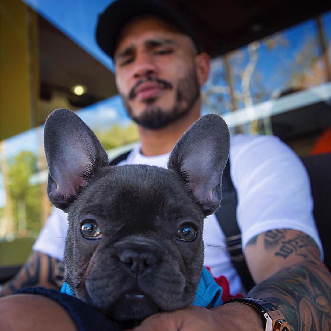 manny_the_frenchie