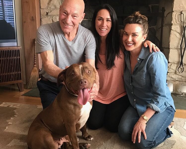 After Fostering a Pit Bull, Patrick Stewart is Now Campaigning Against Dogfighting