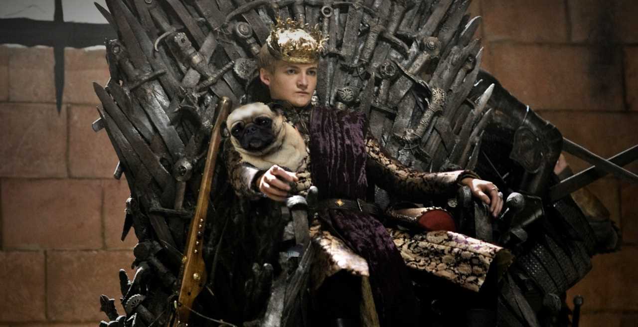 Jack Gleeson - pug - King Joffrey 1