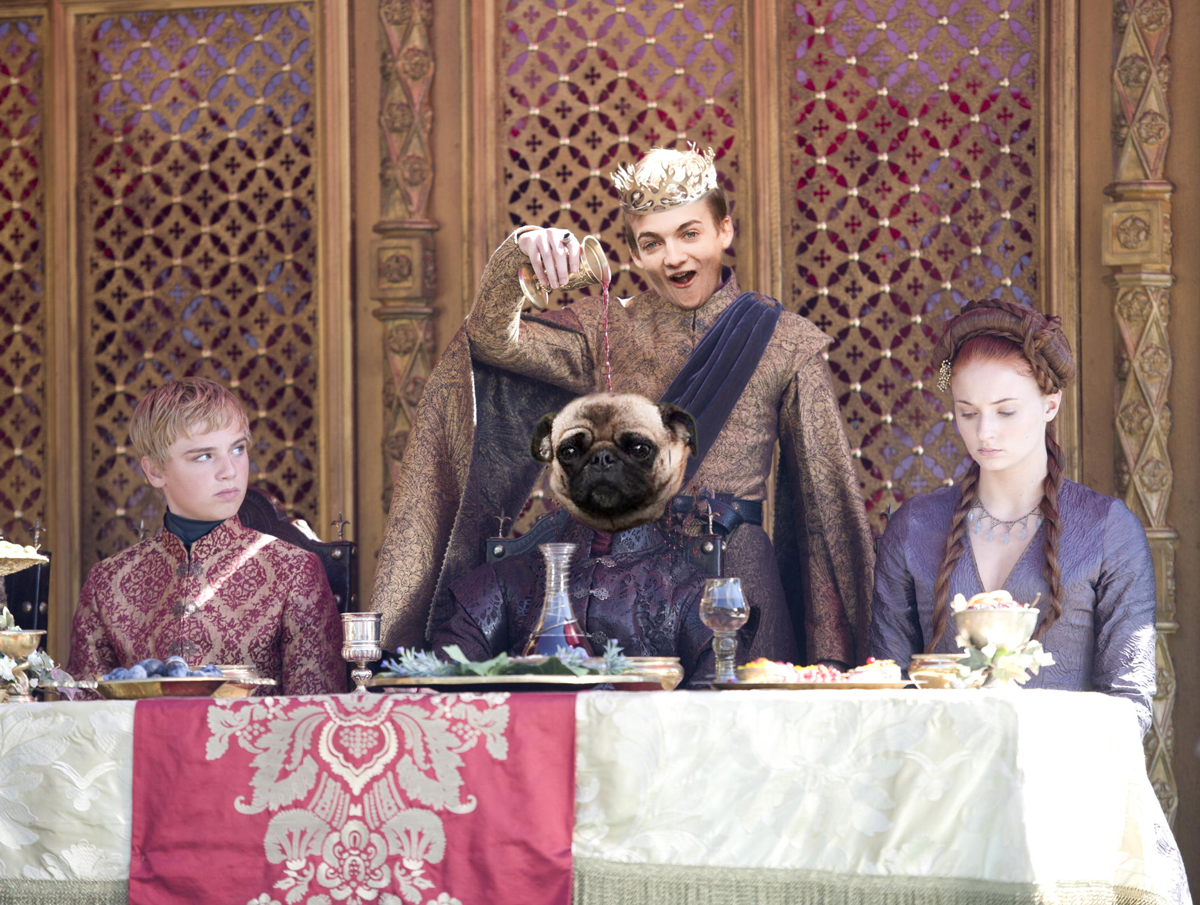 Jack Gleeson - pug - King Joffrey 2