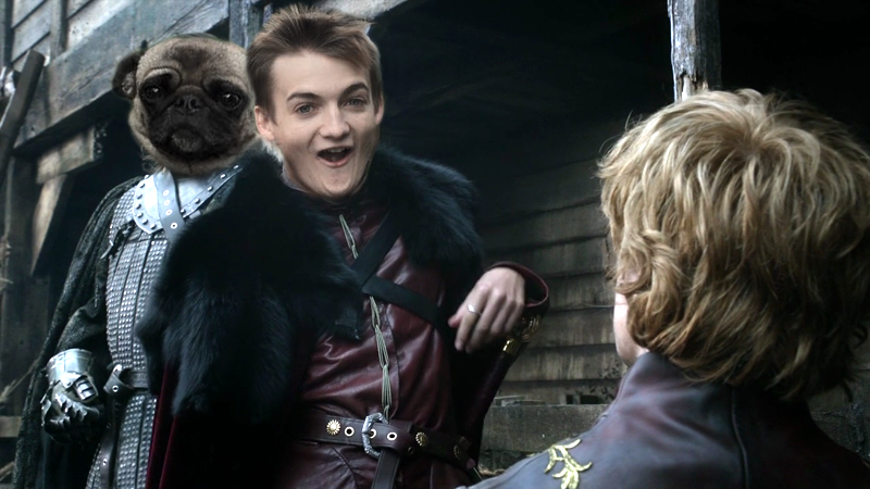 Jack Gleeson - pug - King Joffrey 3