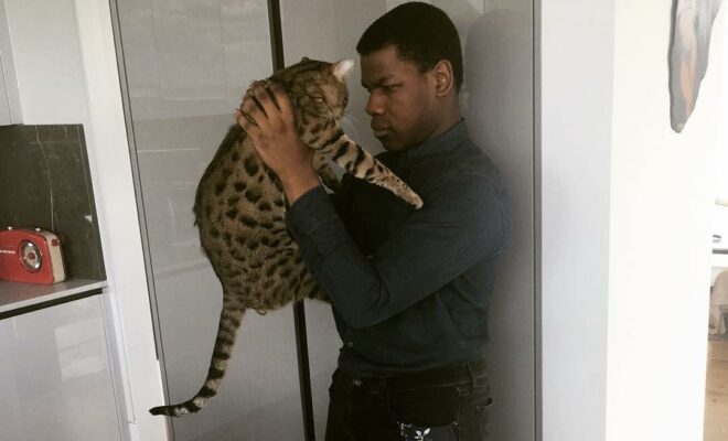 John Boyega Pets