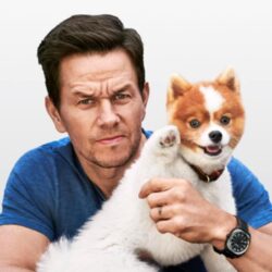 Mark Wahlberg Pets