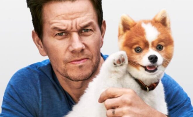 Mark Wahlberg Pets