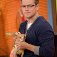 Matt Damon's pet Rescue Dogs