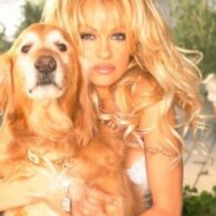 Pamela Anderson's pet Jojo