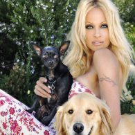 Pamela Anderson's pet Varmie