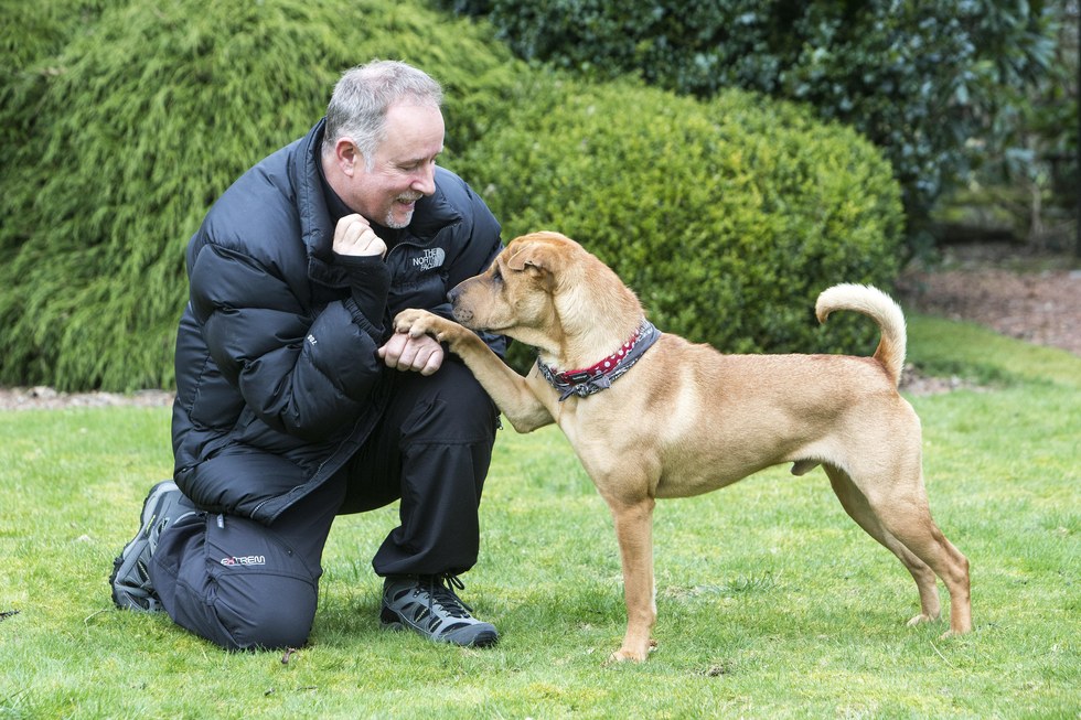 Viral dog abandoned trains for SPCA marathon 2