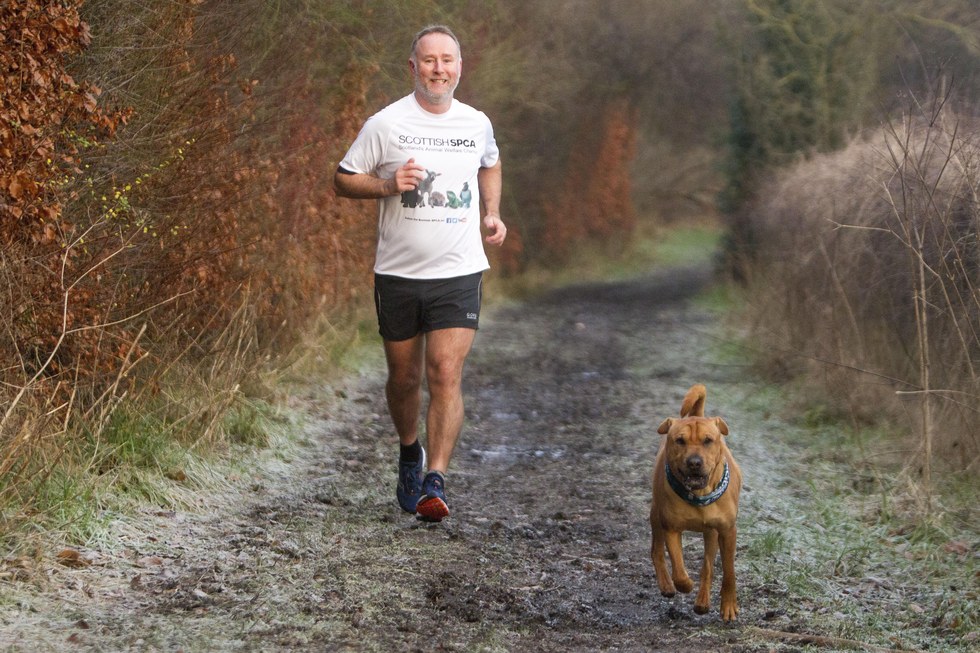 Viral dog abandoned trains for SPCA marathon 4