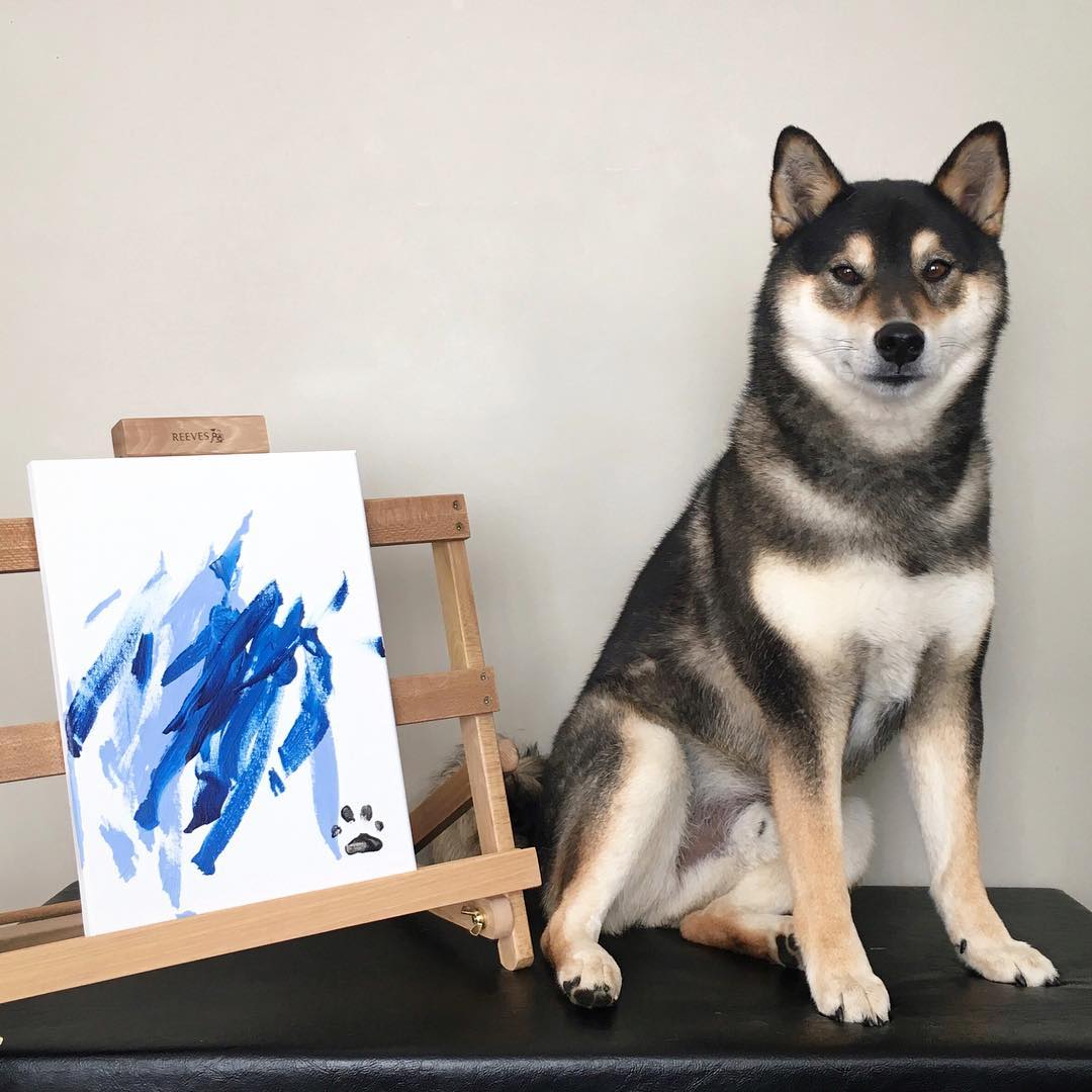 shiba.art.online