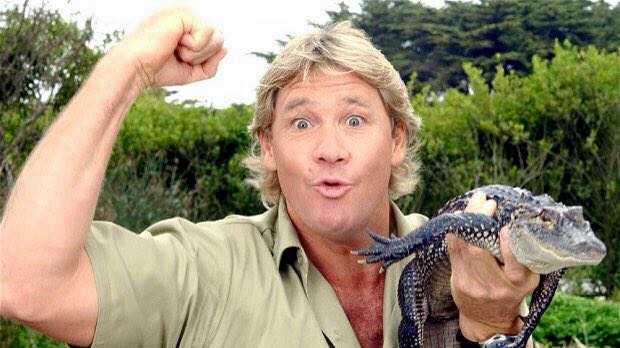 Crocodile Hunter Steve Irwin gets star on Hollywood Walk of Fame