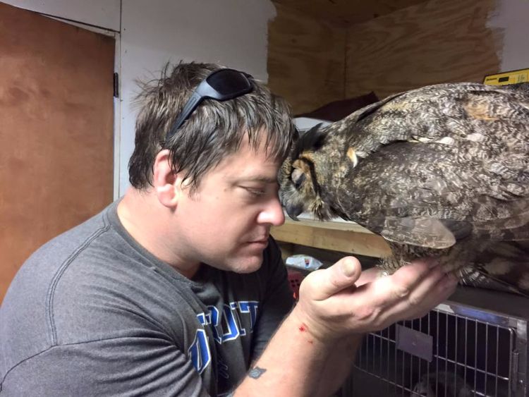 Owl remembers man who saved her life 4