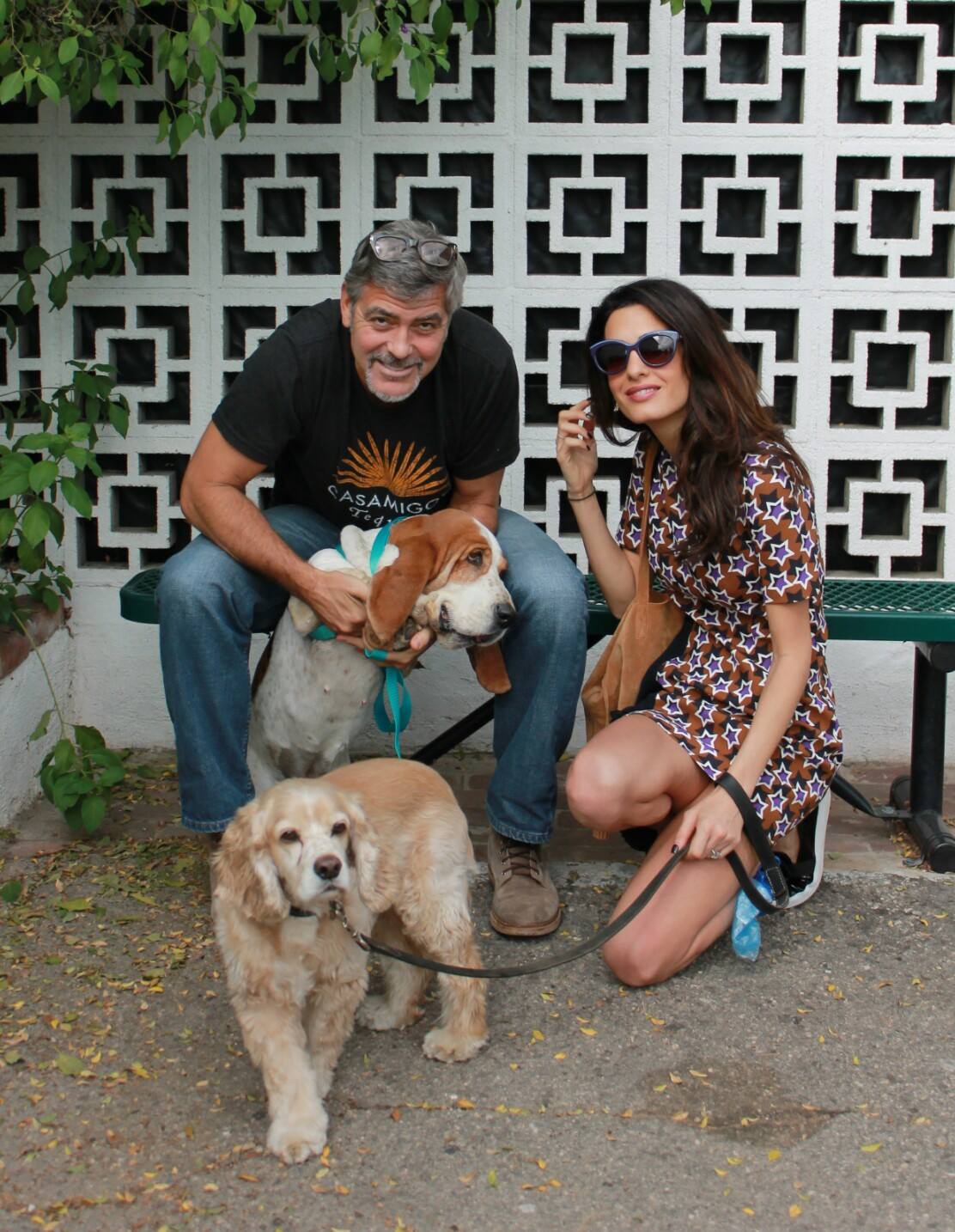 San Gabriel Valley Humane Society -g George and Amal Clooney rescue dogs