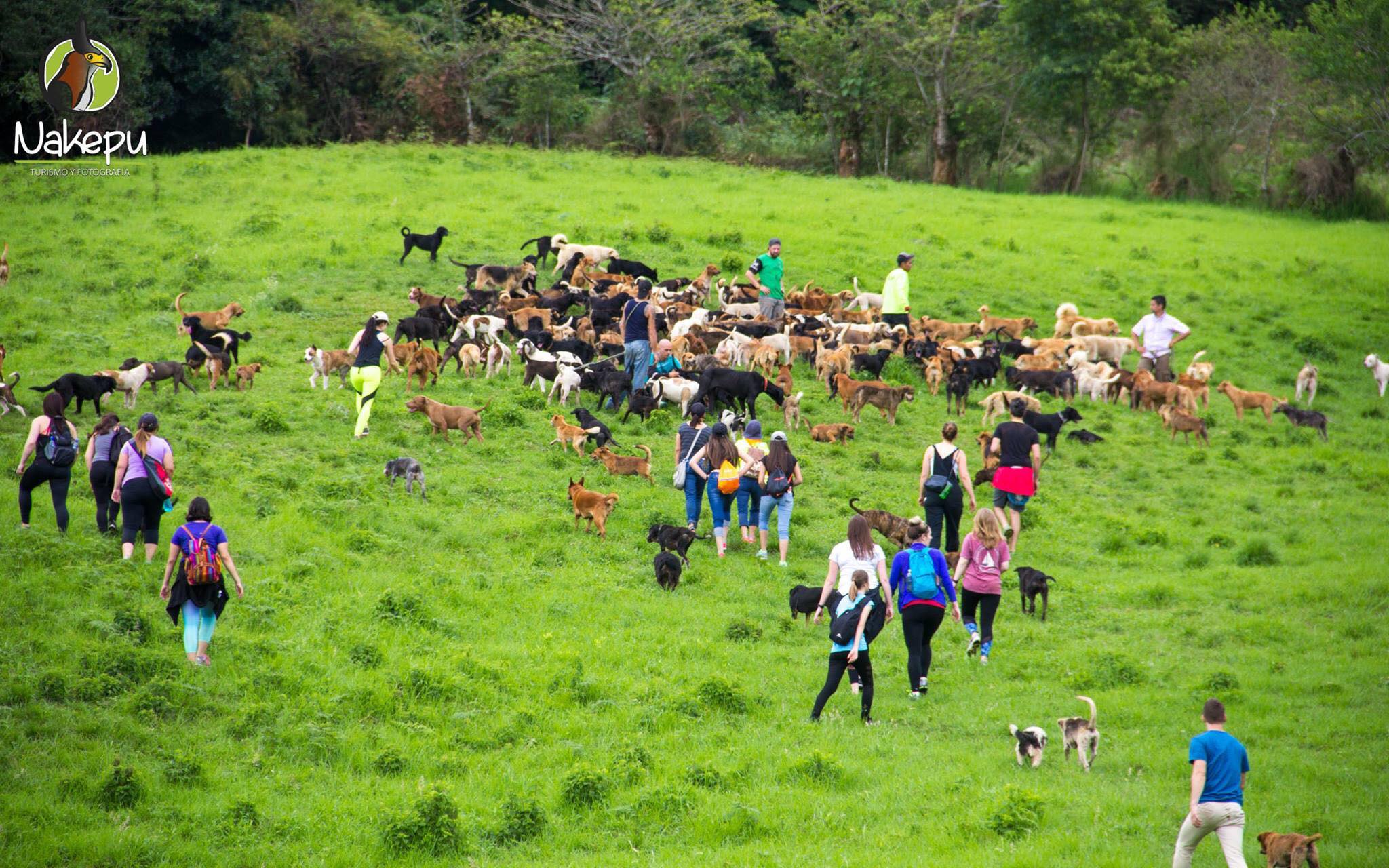 Territorio de Zaguates Costa Rica