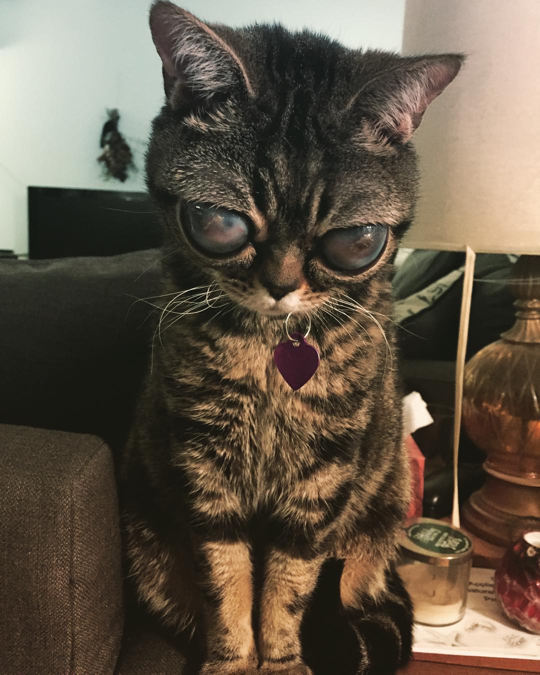 aliencatmatilda