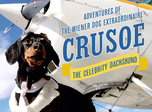 Crusoe the Wiener skyrockets to fame from Dog Blog in Crusoe’s voice