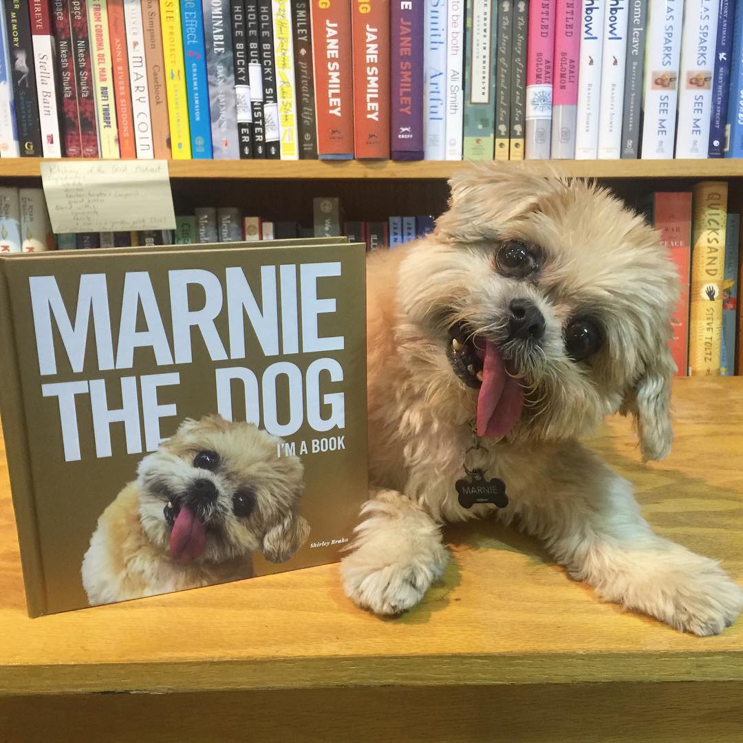 marniethedog