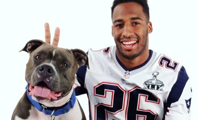 Logan Ryan Pets