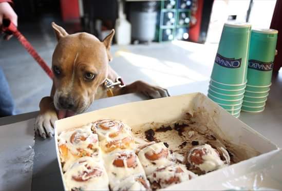 Jesse James and CinnaBon