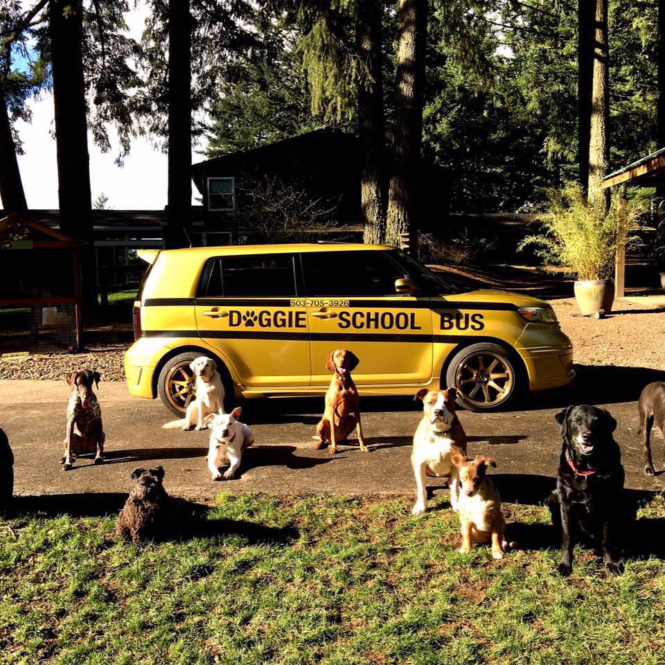 Doggie School Bus Inc.