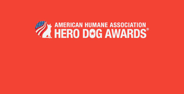 Hero Dog Awards: Meet the Top 7 Finalists