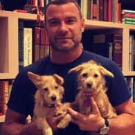 Liev Schreiber's pet Woody and Willow