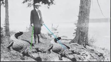 alligator president Hoover