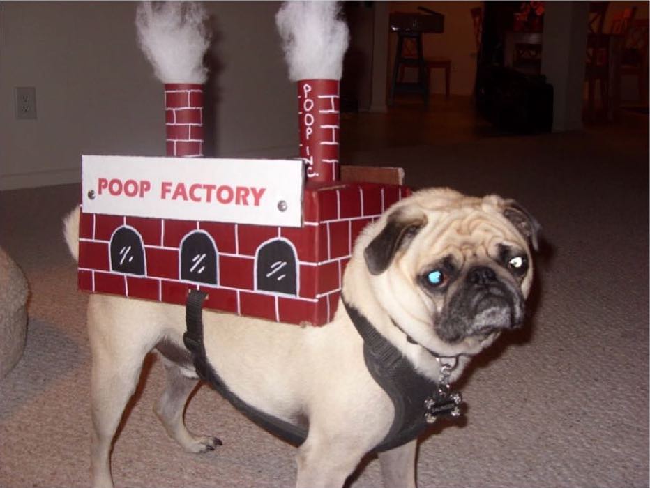 pug poop factory halloween dog costume 