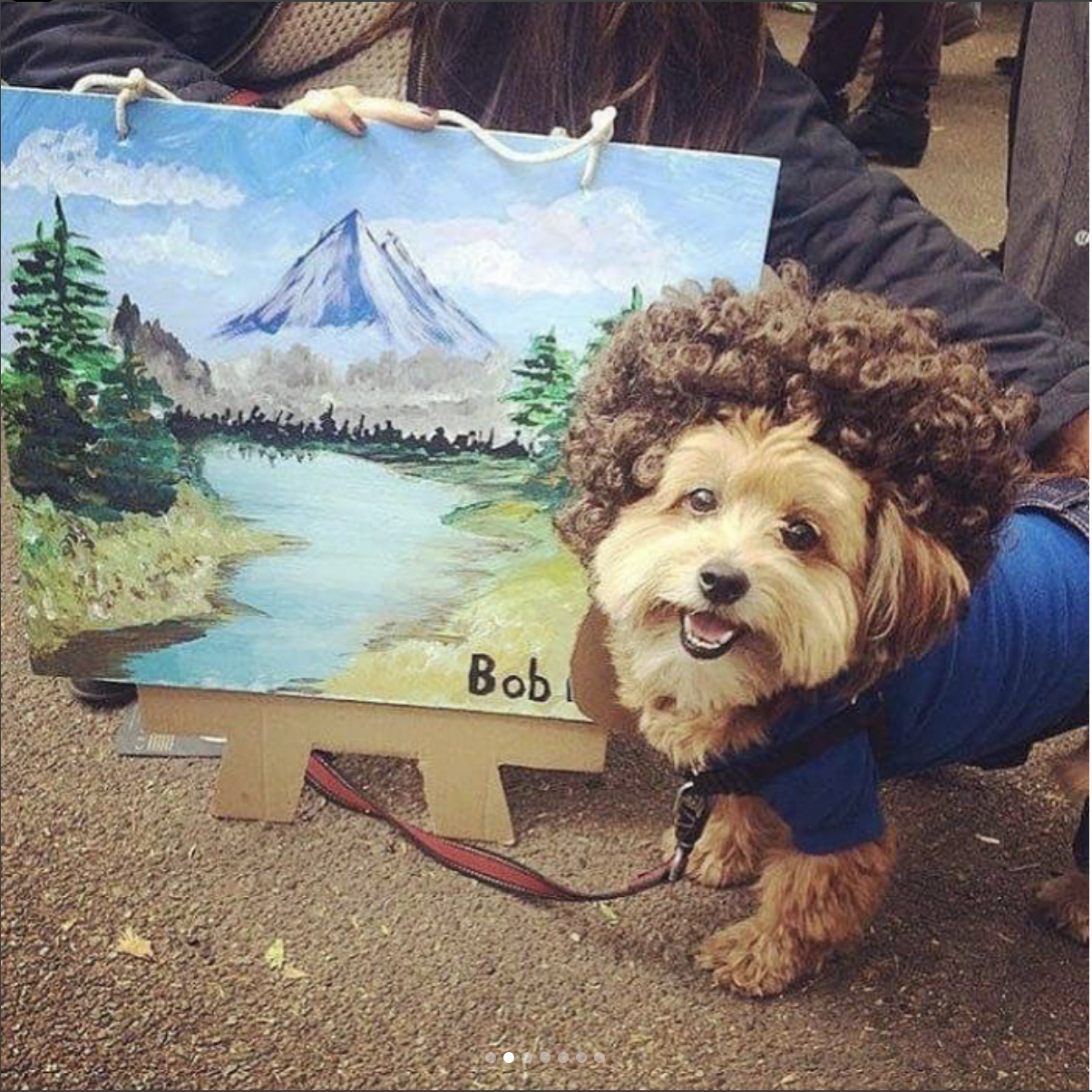 bob ross labradoodle halloween dog costume - Celebrity Pet Worth