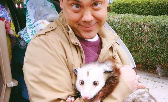 Joe Lo Truglio Pets