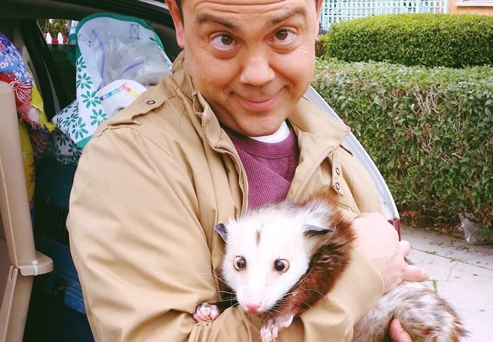 Joe Lo Truglio Pets