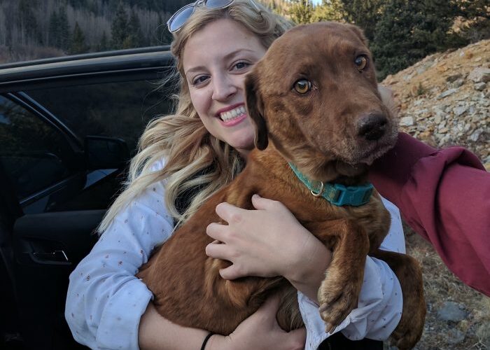 Dog rescued from an abandoned mining shaft has happy ending