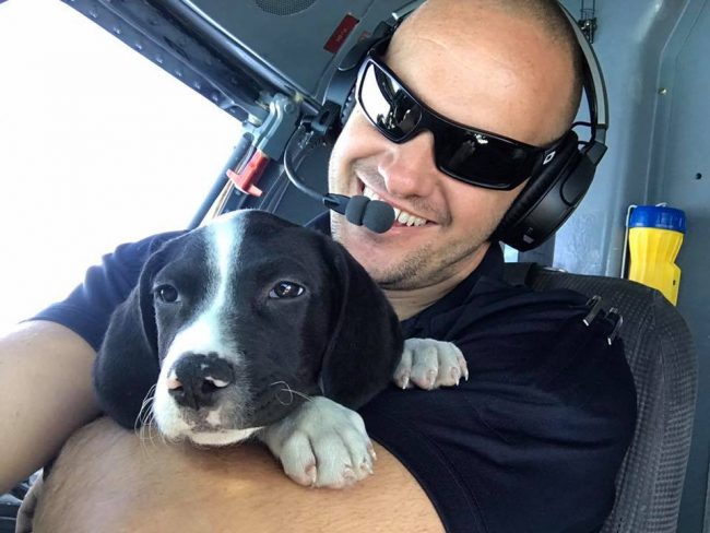 wings of rescue puerto rico hurricane