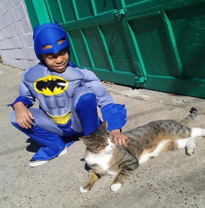 catman superhero cats