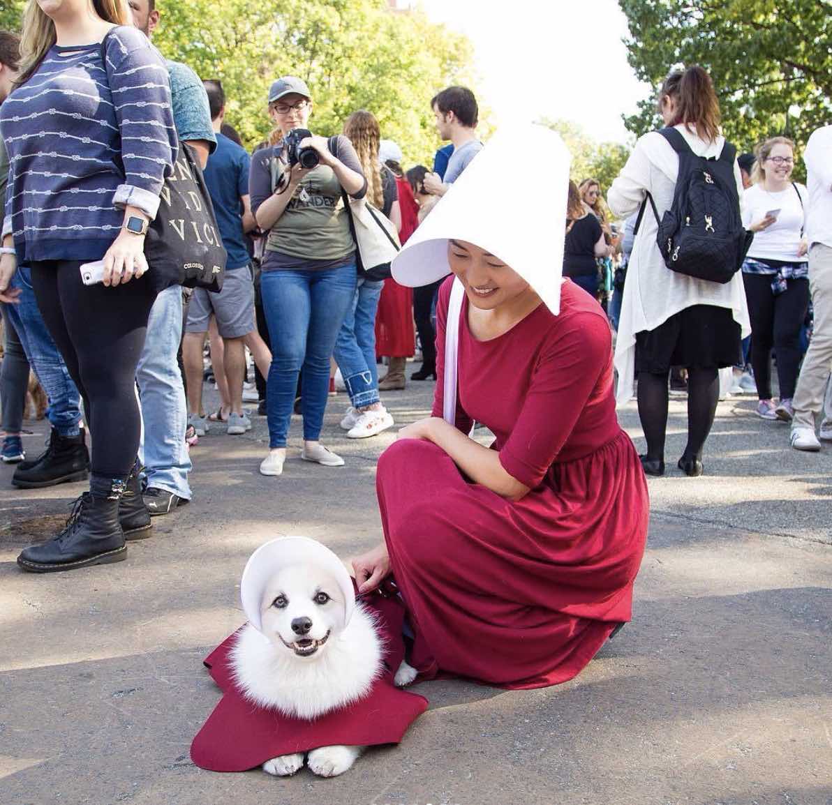 handmaids tale dog halloween