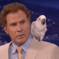 Will Ferrell's pet Professor Don Feathers