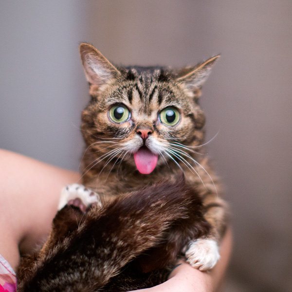 iamlilbub